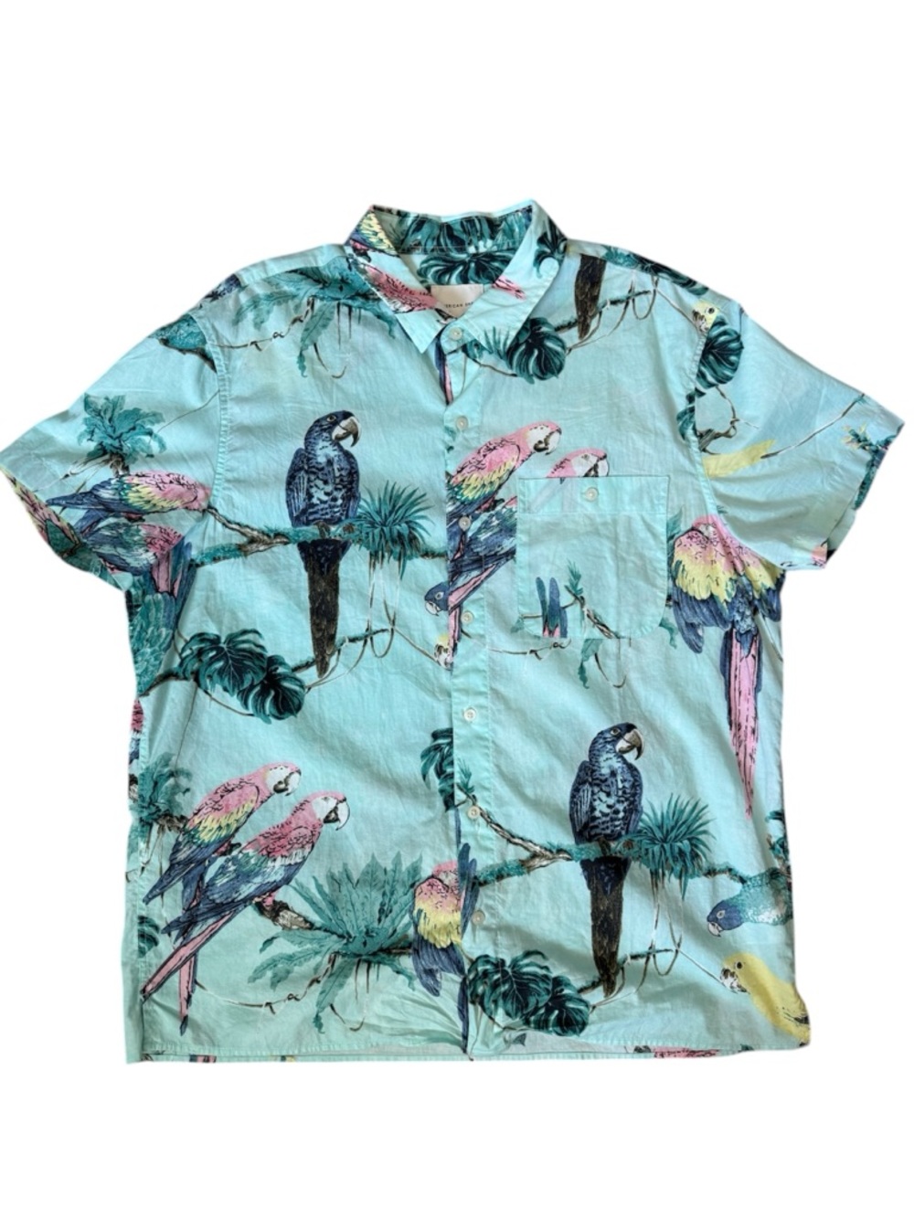 American Eagle Outfitters Aqua Tropical Parrot Print Button-Down Shirt